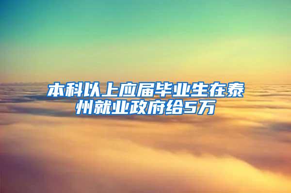 本科以上应届毕业生在泰州就业政府给5万