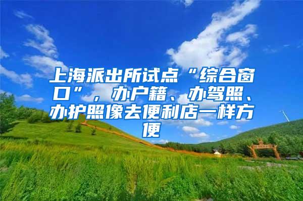 上海派出所试点“综合窗口”，办户籍、办驾照、办护照像去便利店一样方便