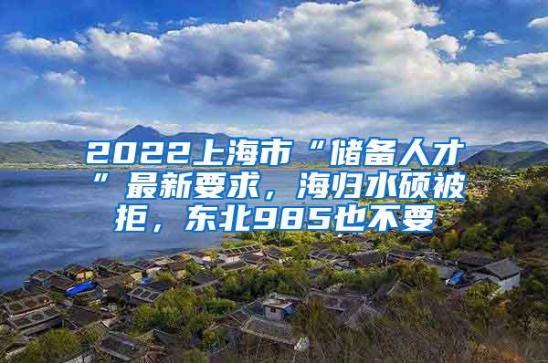 2022上海市“储备人才”最新要求，海归水硕被拒，东北985也不要