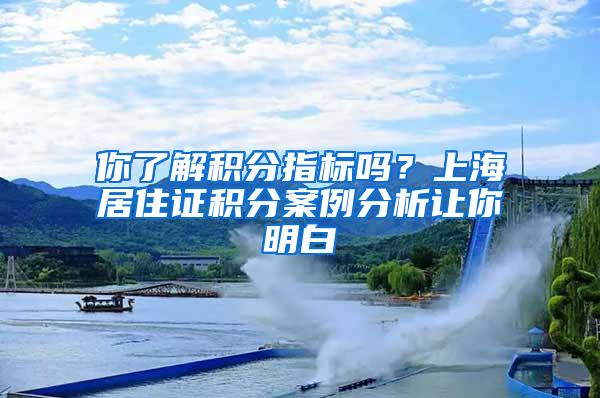 你了解积分指标吗？上海居住证积分案例分析让你明白