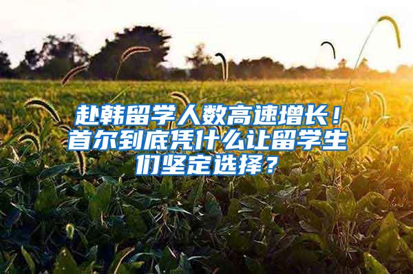 赴韩留学人数高速增长！首尔到底凭什么让留学生们坚定选择？