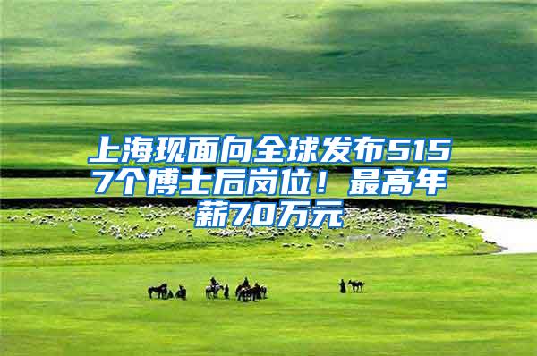 上海现面向全球发布5157个博士后岗位！最高年薪70万元