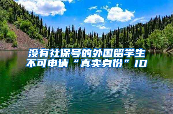 没有社保号的外国留学生不可申请“真实身份”ID