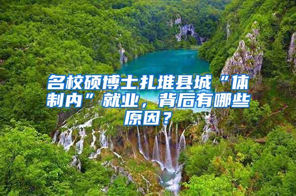 名校硕博士扎堆县城“体制内”就业，背后有哪些原因？