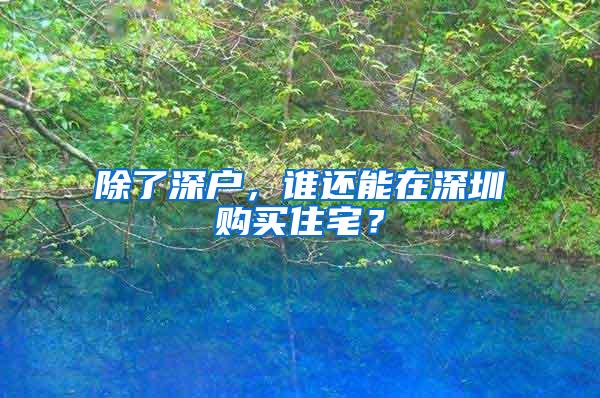 除了深户，谁还能在深圳购买住宅？