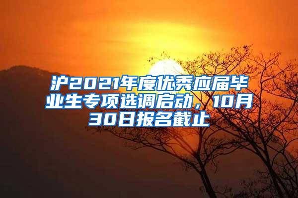 沪2021年度优秀应届毕业生专项选调启动，10月30日报名截止→