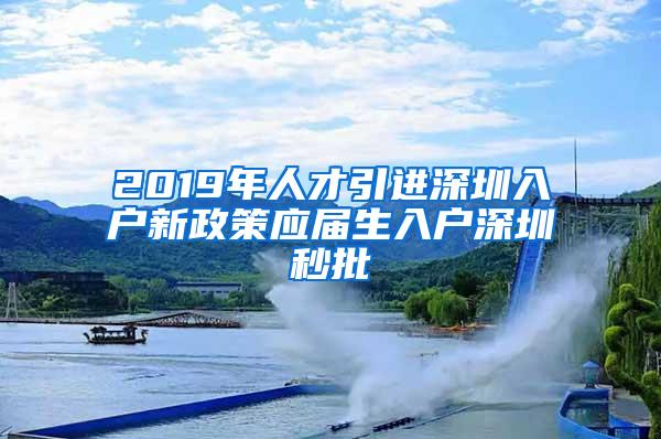 2019年人才引进深圳入户新政策应届生入户深圳秒批