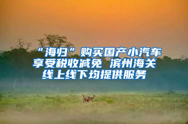 “海归”购买国产小汽车享受税收减免 滨州海关线上线下均提供服务