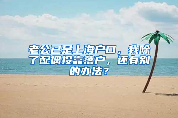 老公已是上海户口，我除了配偶投靠落户，还有别的办法？