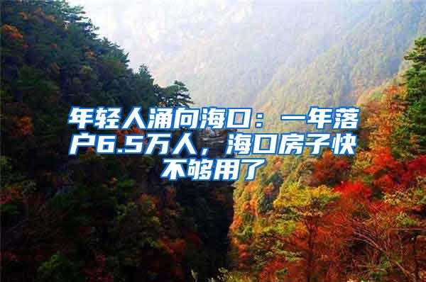 年轻人涌向海口：一年落户6.5万人，海口房子快不够用了