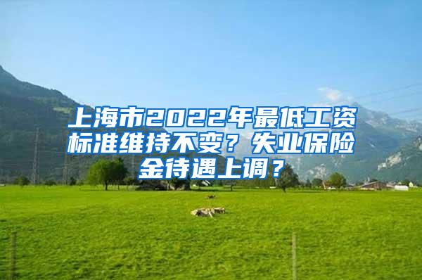 上海市2022年最低工资标准维持不变？失业保险金待遇上调？