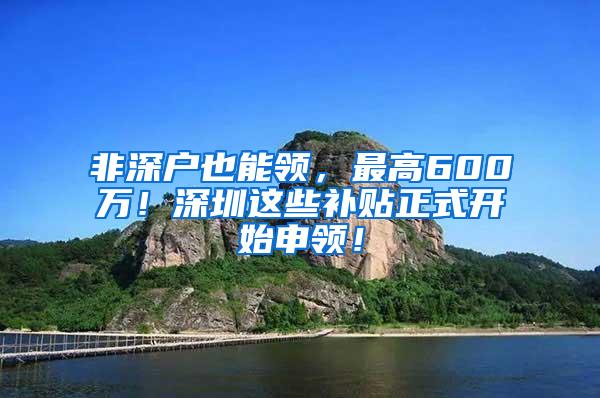 非深户也能领，最高600万！深圳这些补贴正式开始申领！