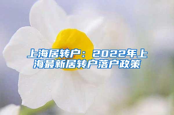 上海居转户：2022年上海最新居转户落户政策