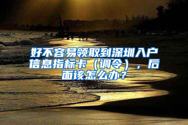 好不容易领取到深圳入户信息指标卡（调令），后面该怎么办？