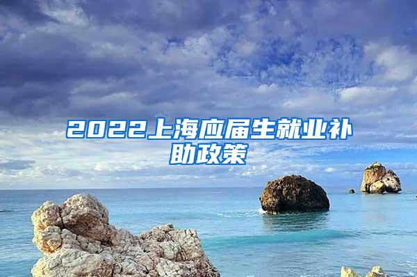 2022上海应届生就业补助政策