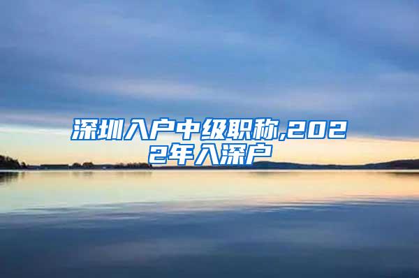 深圳入户中级职称,2022年入深户