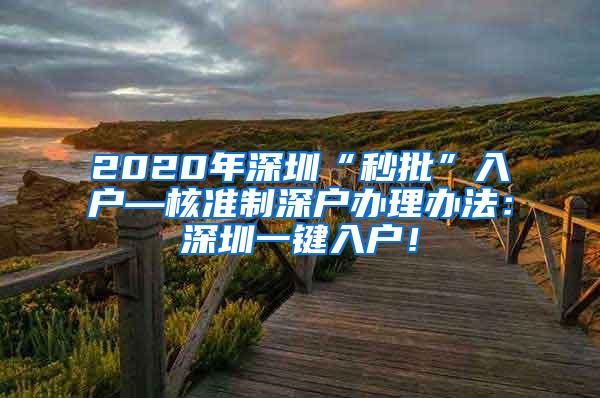 2020年深圳“秒批”入户—核准制深户办理办法：深圳一键入户！