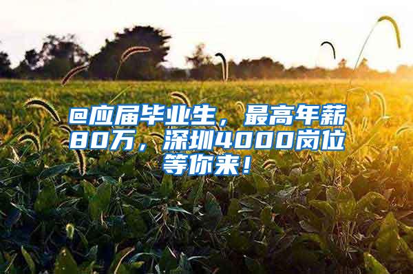 @应届毕业生，最高年薪80万，深圳4000岗位等你来！