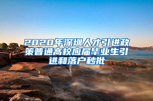 2020年深圳人才引进政策普通高校应届毕业生引进和落户秒批