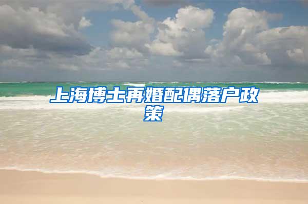 上海博士再婚配偶落户政策