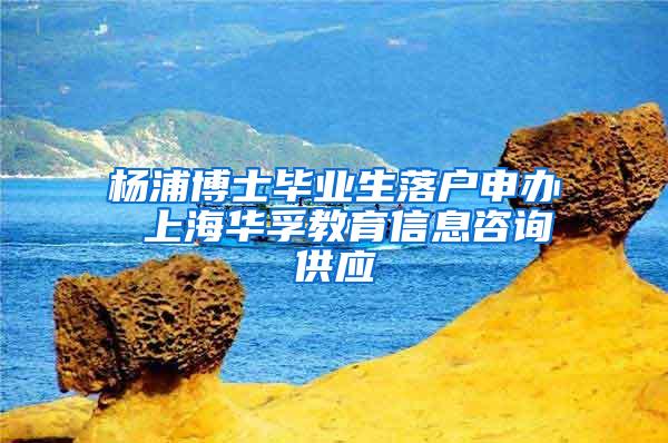 杨浦博士毕业生落户申办 上海华孚教育信息咨询供应