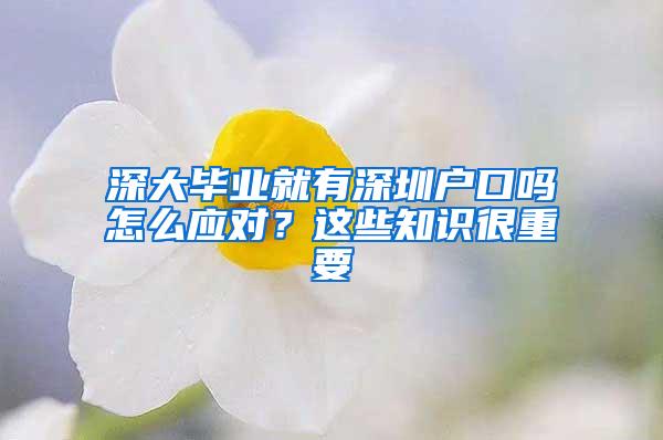 深大毕业就有深圳户口吗怎么应对？这些知识很重要