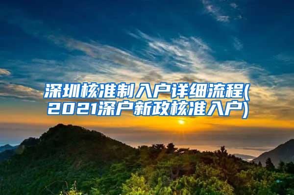 深圳核准制入户详细流程(2021深户新政核准入户)