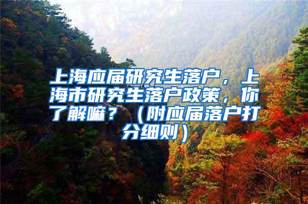 上海应届研究生落户，上海市研究生落户政策，你了解嘛？（附应届落户打分细则）