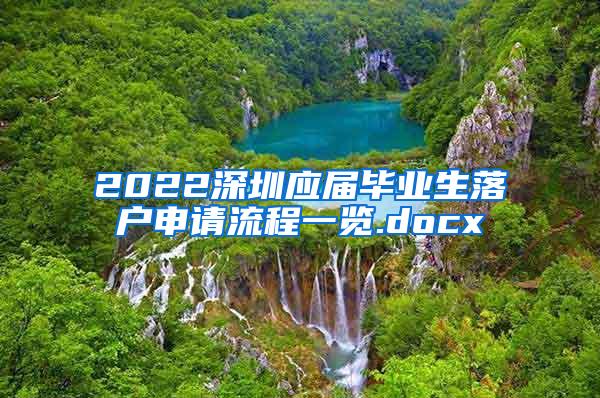 2022深圳应届毕业生落户申请流程一览.docx