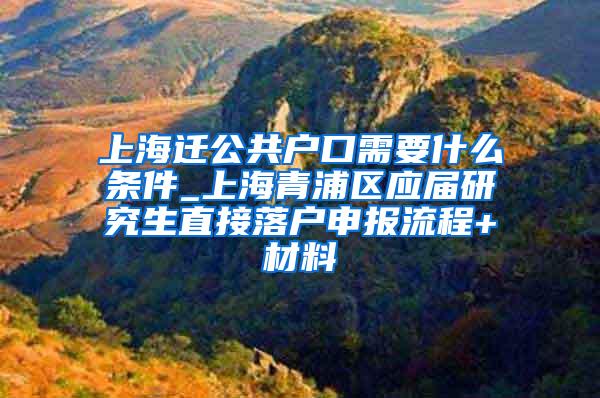 上海迁公共户口需要什么条件_上海青浦区应届研究生直接落户申报流程+材料