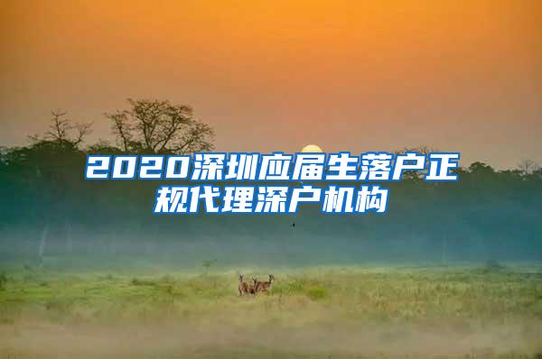 2020深圳应届生落户正规代理深户机构