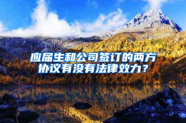 应届生和公司签订的两方协议有没有法律效力？