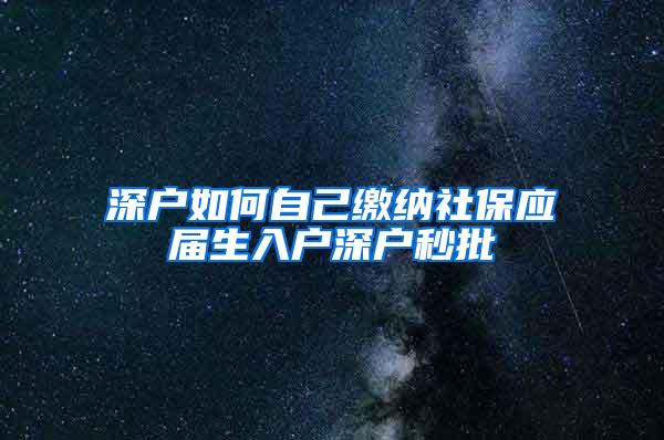 深户如何自己缴纳社保应届生入户深户秒批