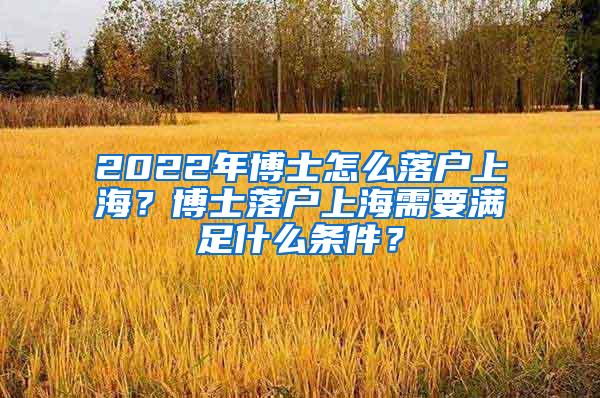 2022年博士怎么落户上海？博士落户上海需要满足什么条件？
