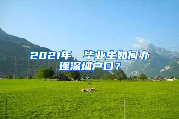 2021年，毕业生如何办理深圳户口？