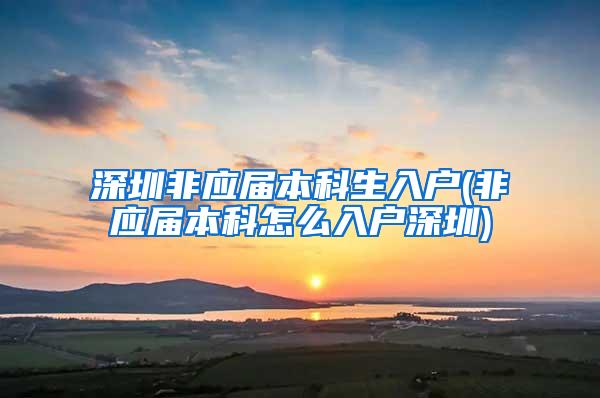 深圳非应届本科生入户(非应届本科怎么入户深圳)