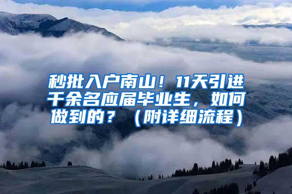 秒批入户南山！11天引进千余名应届毕业生，如何做到的？（附详细流程）