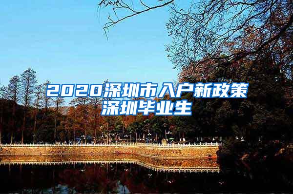 2020深圳市入户新政策深圳毕业生