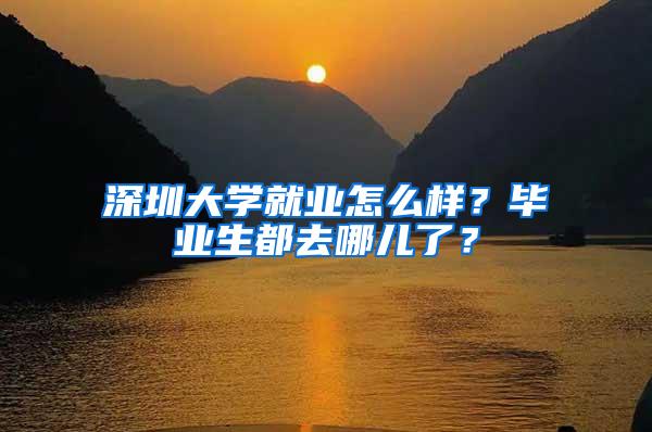 深圳大学就业怎么样？毕业生都去哪儿了？