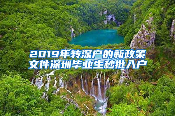 2019年转深户的新政策文件深圳毕业生秒批入户