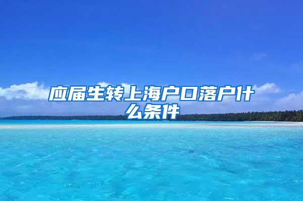 应届生转上海户口落户什么条件