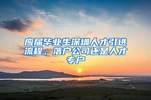 应届毕业生深圳人才引进流程，落户公司还是人才专户