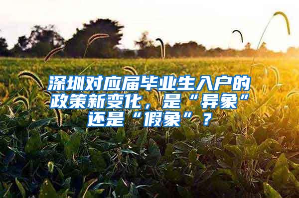 深圳对应届毕业生入户的政策新变化，是“异象”还是“假象”？