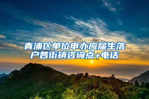 青浦区单位申办应届生落户各街镇咨询点+电话