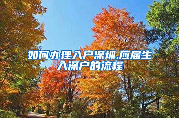 如何办理入户深圳,应届生入深户的流程