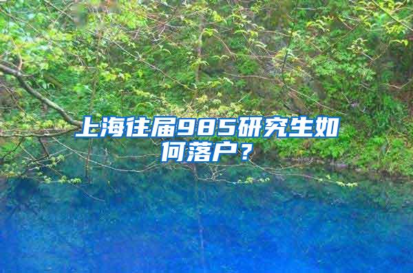 上海往届985研究生如何落户？