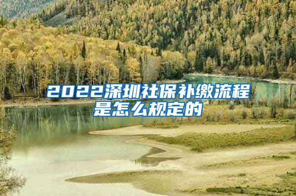 2022深圳社保补缴流程是怎么规定的