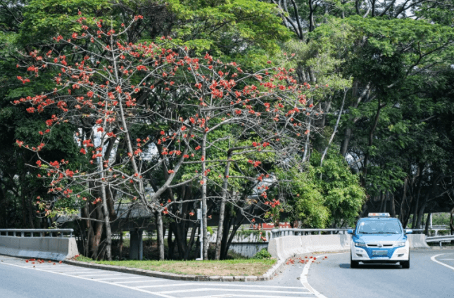 深圳公租房申请条件