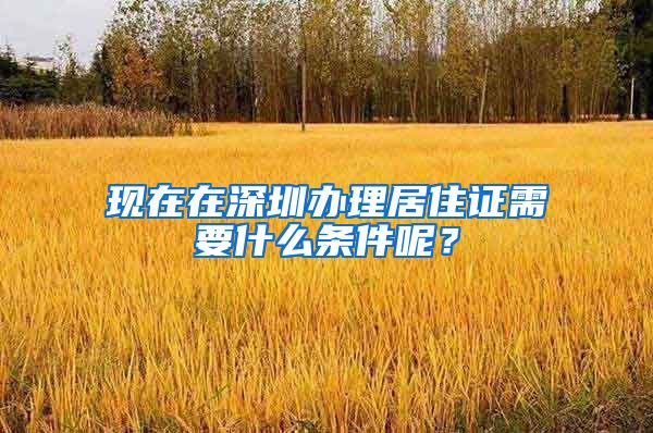 现在在深圳办理居住证需要什么条件呢？