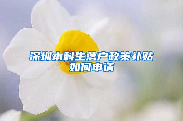 深圳本科生落户政策补贴如何申请